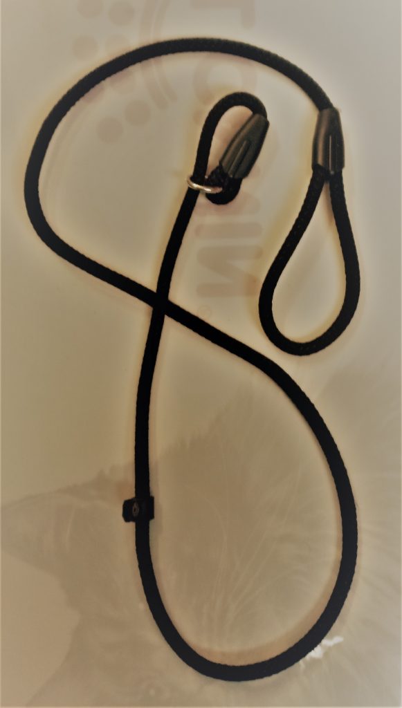 Dog choke Leash 12 mm Pet Food & Accessories Shop in